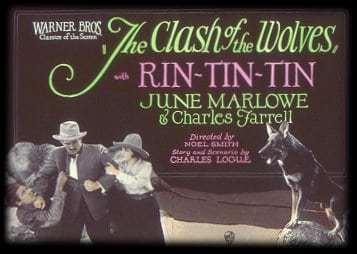 rin-tin-tin-clash-of-the-wolves